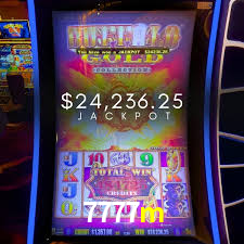 APP oficial da 7777m para mobile